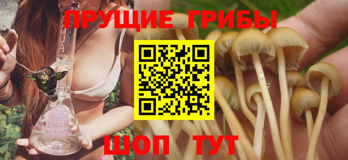 Галлюциногенные грибы Psilocybe  Галлюциногенные грибы Psilocybine cubensis  Сафоново  Вход с VPN 