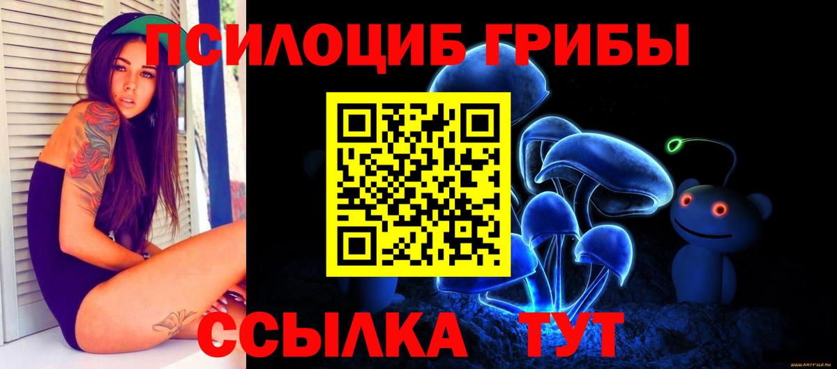 Галлюциногенные грибы Psilocybine cubensis Сафоново