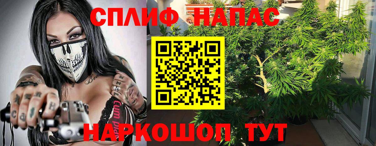 Канабис планчик  Вход с VPN  МАРИХУАНА THC 21%  Сафоново  МАРИХУАНА MAZAR 